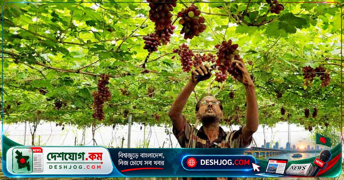 পলিনেট ও মালচিং প্রযুক্তি: কীভাবে বাংলাদেশের কৃষিকে রূপান্তরিত করছে আধুনিক কৌশল