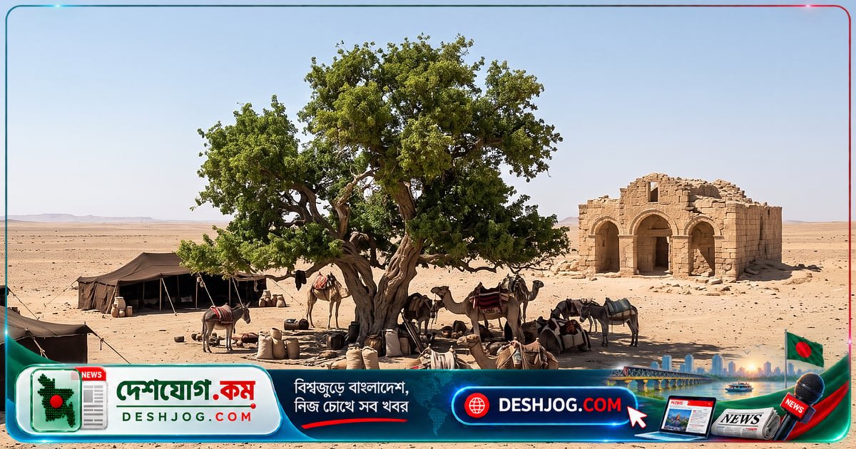 মহানবী (সা.) শাম সফরে যে গাছের ছায়ায় বিশ্রাম নিয়েছিলেন: পাদরির সাক্ষ্য ও ঐতিহাসিক পথচিত্র