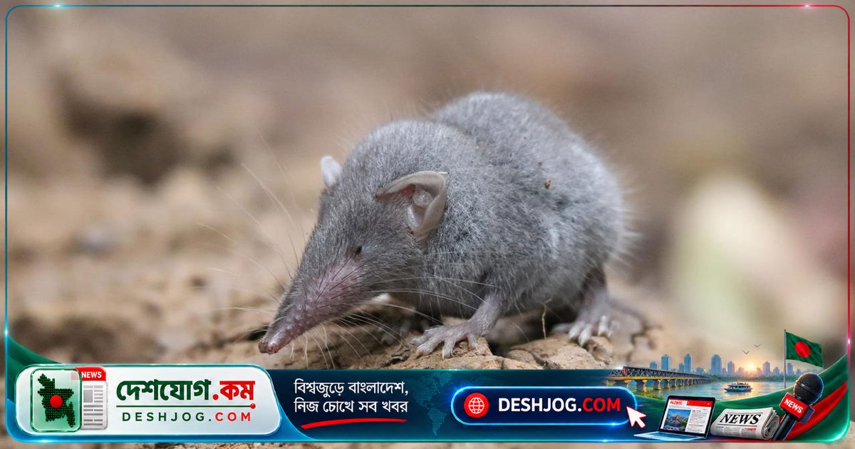 বিজ্ঞানের মৌলিক একক ‘মোল’: ২৩ অক্টোবর কেন পালিত হয় ‘চিকা দিবস’?