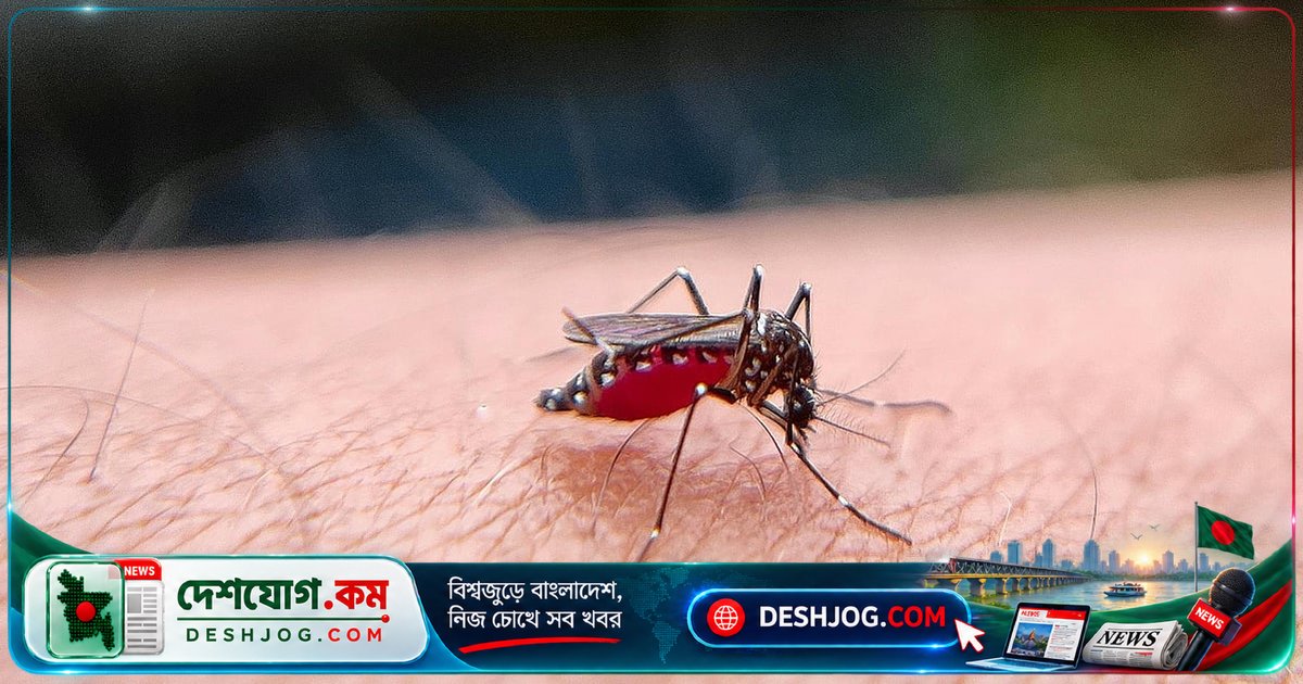 মশা কীভাবে পৃথিবীর সবচেয়ে মৃত্যুর কারণ হয়ে দাঁড়ায়? ম্যালেরিয়া থেকে ডেঙ্গু পর্যন্ত রোগের বাহক হিসেবে এর ভূমিকা