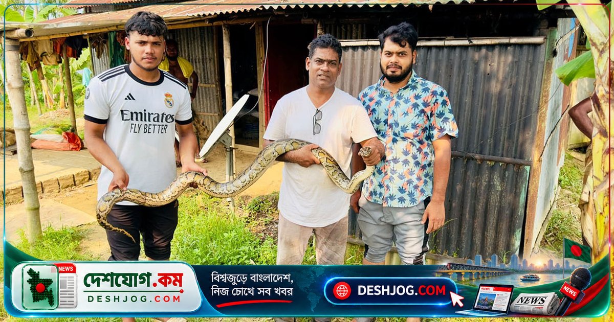 মৌলভীবাজারে হাইল হাওরের বিলে জালে আটকে পড়া অজগর সাপ উদ্ধার: বন্য প্রাণী সেবা ফাউন্ডেশন