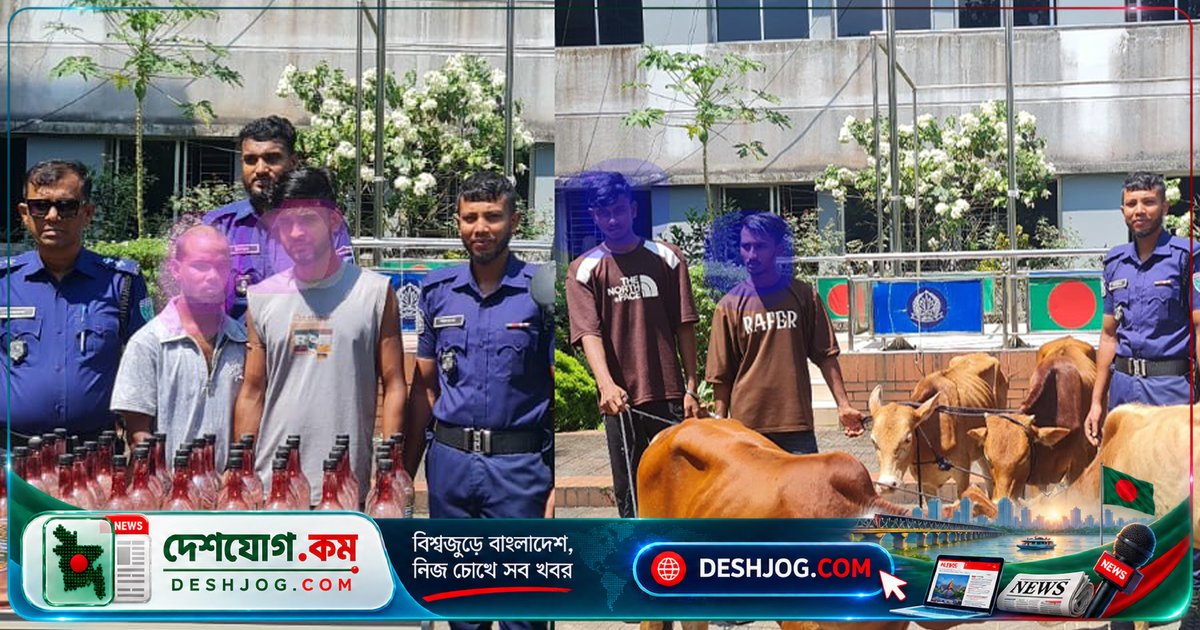মৌলভীবাজার বড়লেখায় ভারতীয় বাছুর ও মদ চোরাচালান: ৪ জন আটক, ৪০ লিটার মদ জব্দ
