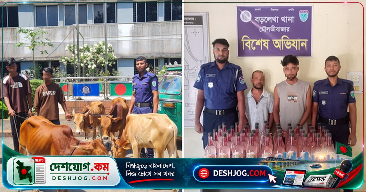 মৌলভীবাজার বড়লেখায় ভারতীয় গরু ও মদ চোরাচালানে গ্রেফতার ৪, জব্দ ৪০ লিটার মদসহ অটোরিকশা