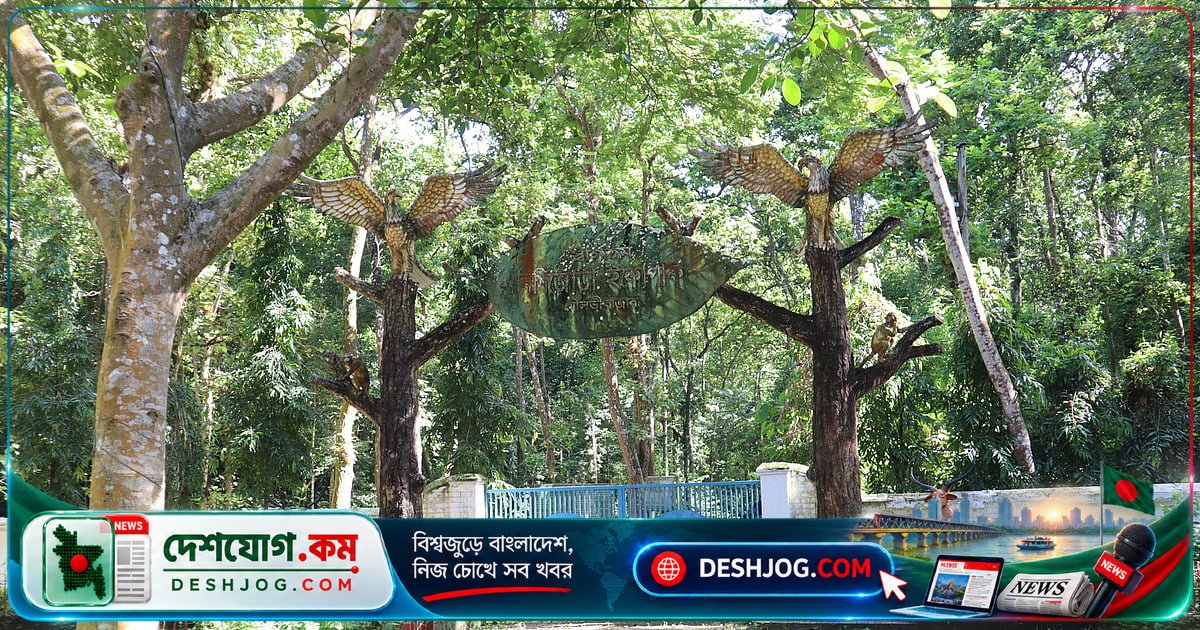 মৌলভীবাজারের বর্ষিজোড়া ইকোপার্ক: শহরের কোলে ধরে রেখেছে নির্জন সবুজের আশ্রয়