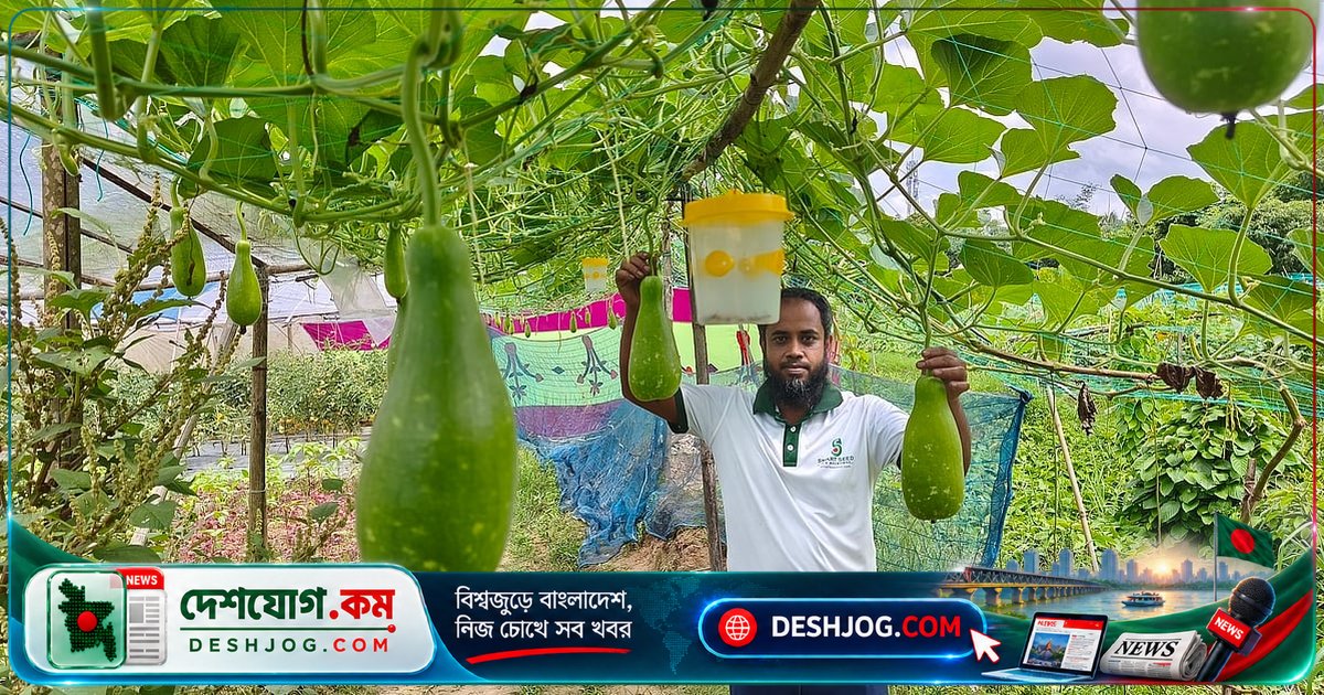 মৌলভীবাজারের ব্যবসায়ী আবদুল মতিন: পতিত জমিতে সবজির বাগান থেকে বাড়তি আয়ের রহস্য