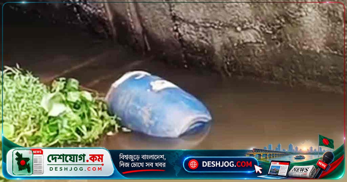 ময়মনসিংহে খালে ভাসমান ড্রাম থেকে উদ্ধার মরদেহ: ৫০ বছর বয়সী জুয়েলারি কারিগরের মৃত্যু পুলিশের সন্দেহের কেন্দ্রে
