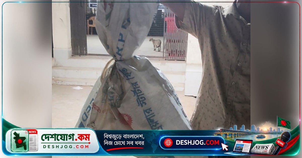 মুঠোফোনের আলোয় সাপ ধরে হাসপাতালে নিয়ে যান ময়মনসিংহের বাসিন্দা, বিষধর না হলেও পর্যবেক্ষণে ভর্তি