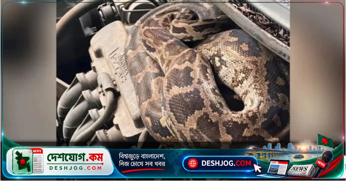 মুম্বাইয়ে গাড়ির বনেট থেকে বেরিয়ে এল ৭ ফুটের অজগর সাপ, বন্যপ্রাণী বিশেষজ্ঞ উদ্ধার করলেন