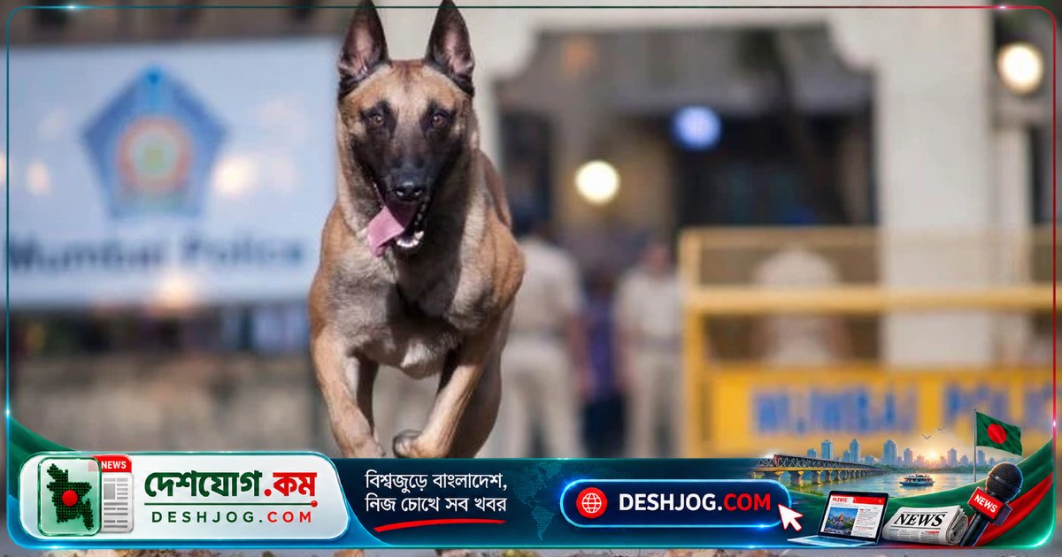 মুম্বাই পুলিশের বম্ব স্কোয়াডে নতুন যোগদান: লাদেন হত্যার কুকুরের জাতের বুদ্ধিমান সদস্যরা