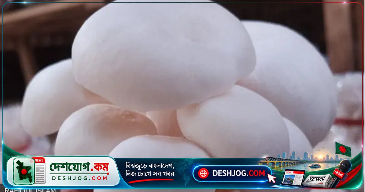 বাংলাদেশে মাশরুম চাষের বিস্তৃতি: কেন ব্যাঙের ছাতা নয়? পুষ্টির সুপারফুডের সম্ভাবনা কীভাবে বাড়ছে?