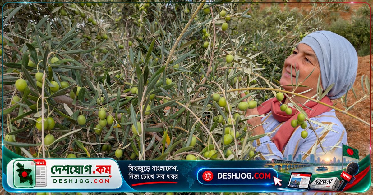 দক্ষিণ স্পেনের পাহাড়ে মুসলমানদের নতুন বাসস্থান: একটি ফার্মহাউস থেকে ইসলামিক ইতিহাসের কেন্দ্রে রূপান্তর