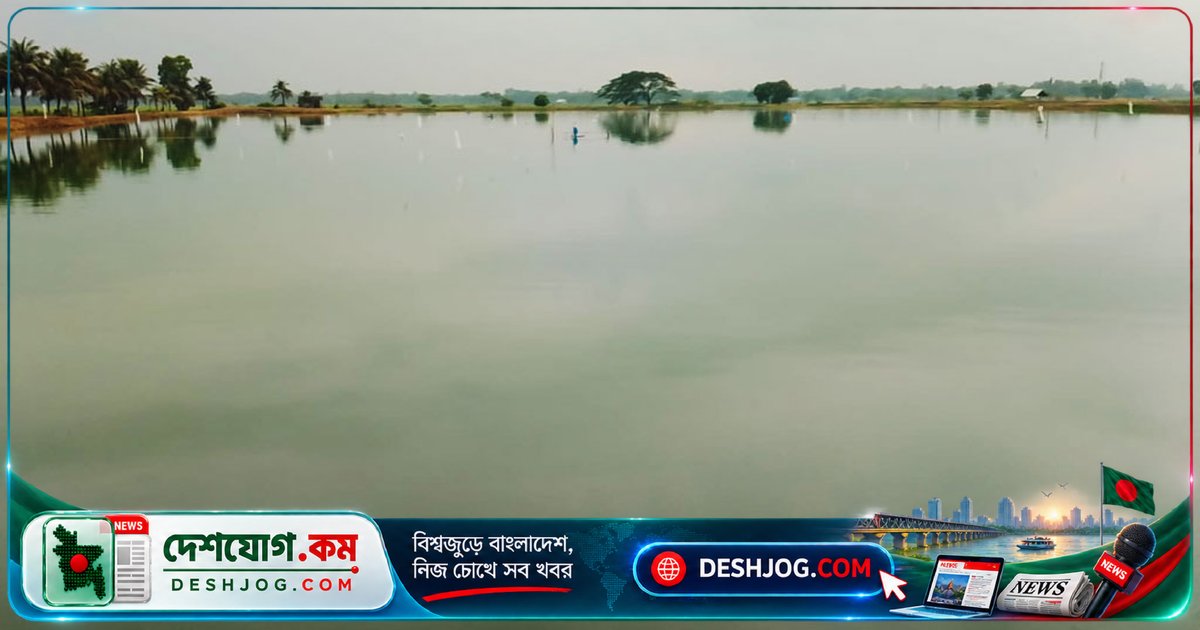 ময়মনসিংহে ৯২ লাখ টাকা ভূমি কর বকেয়া, মৎস্য প্রকল্পের মালিকপক্ষ অজ্ঞাত