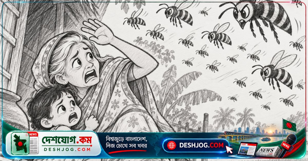 ময়মনসিংহে ভীমরুলের আক্রমণে দাদী ও নাতনির মৃত্যু: দু’জনেরই শেষ নিশ্চিত