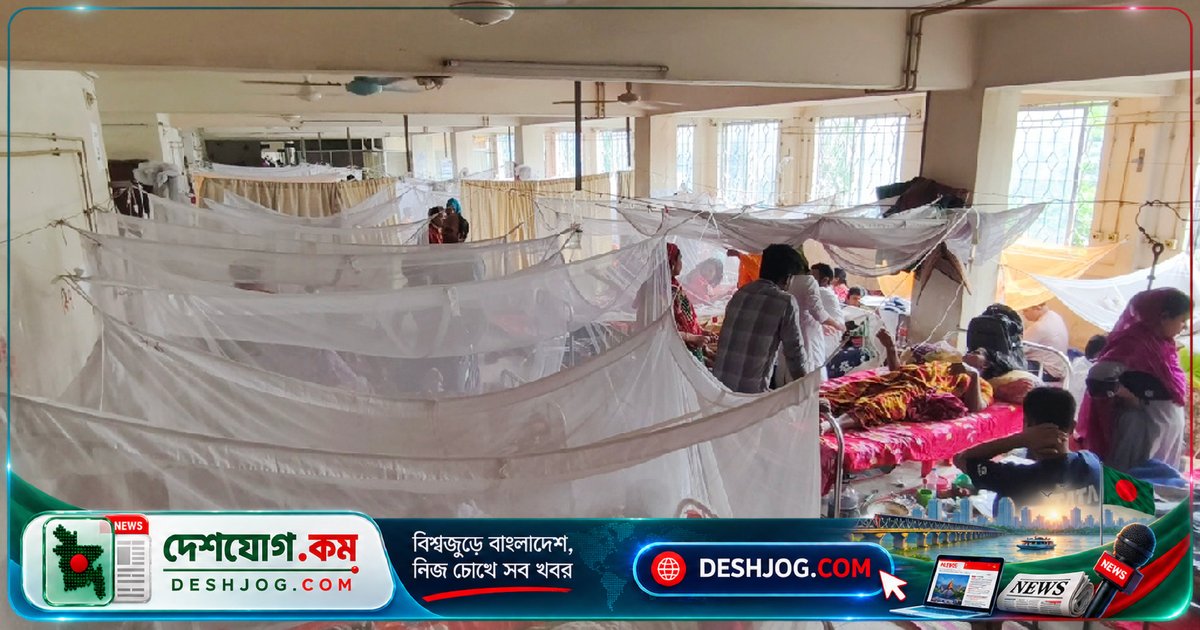 ময়মনসিংহে একদিনে ডেঙ্গুতে তিনজন মৃত্যু, হাসপাতালে ১২৭ রোগী চিকিৎসাধীন