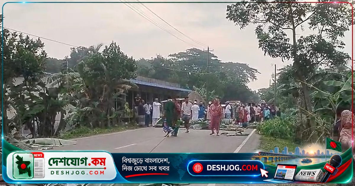ময়মনসিংহে মানসিক ভারসাম্যহীন যুবকের কলাগাছ ফেলে সড়ক অবরোধ, দেড় ঘণ্টা যান চলাচল ব্যাহত
