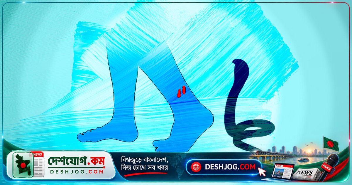 ময়মনসিংহে ঘুমন্ত অবস্থায় সাপের ছোবলে মারা যায় ৪০ বছর বয়সী গৃহবধূ, নোয়াখালীতে চুরির অভিযোগে হত্যা ঘটনার পিছনে চারজন গ্রেপ্তার