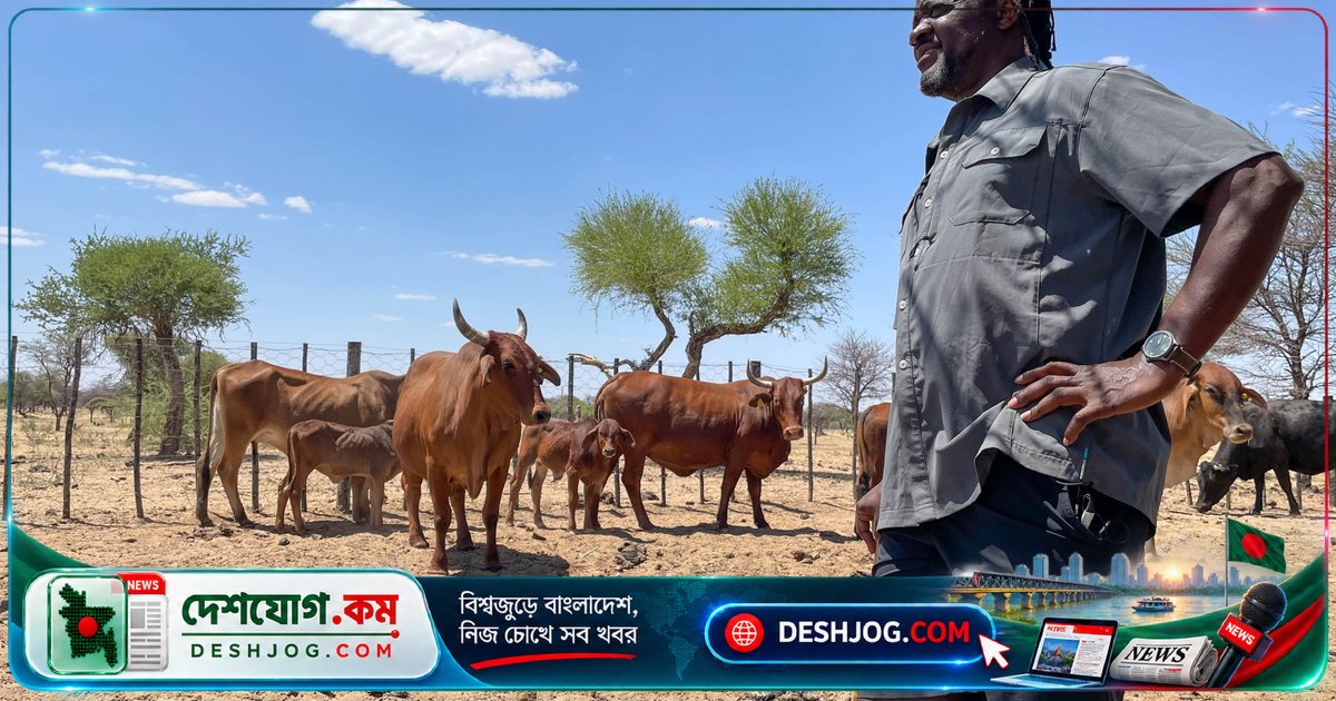 নামিবিয়া: গবাদি পশুর রোগপ্রাদুর্ভাবে ইউরোপীয় ইউনিয়ন বন্ধ করে দিলো মাংস আমদানি, বাজারে দামে ভয়াবহ প্রভাব