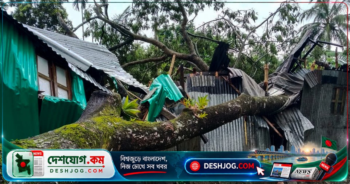 ময়মনসিংহের নান্দাইলে ঝড়ে ঘরবাড়ি, ফসল ও বৈদ্যুতিক অবকাঠামোতে ব্যাপক ক্ষতি