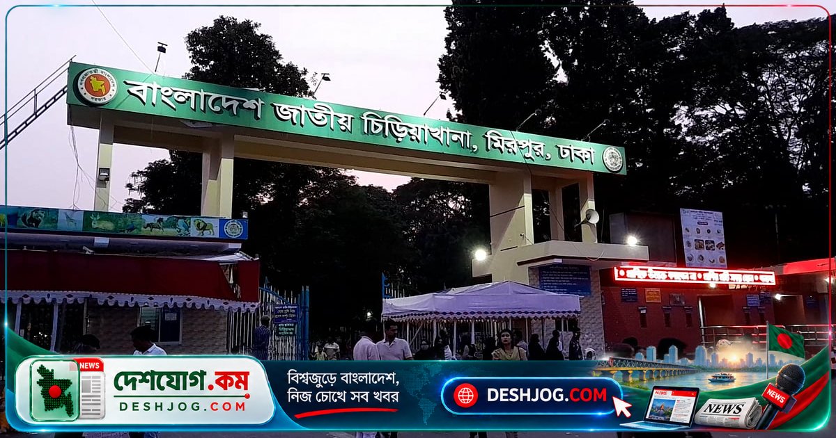 মিরপুরের জাতীয় চিড়িয়াখানায় জীবন্ত হরিণ থেকে জিরাফের দর্শন: কৌতূহলী দর্শনার্থীদের অভিজ্ঞতা