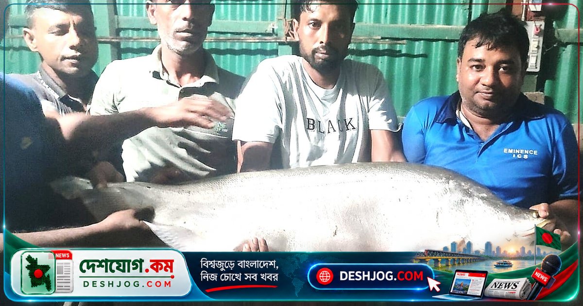 নাটোরের নলডাঙ্গায় বড়শিতে ধরা ১৩ কেজি চিতল মাছ বিক্রি, ক্রেতারা ভিড় করে ছবি তুললেন