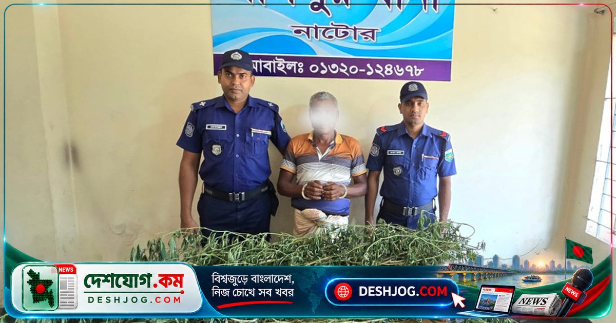 নাটোরের লালপুরে গাঁজা গাছ উদ্ধার, ৫৫ বছর বয়সী ব্যক্তিকে আটক করা পুলিশ