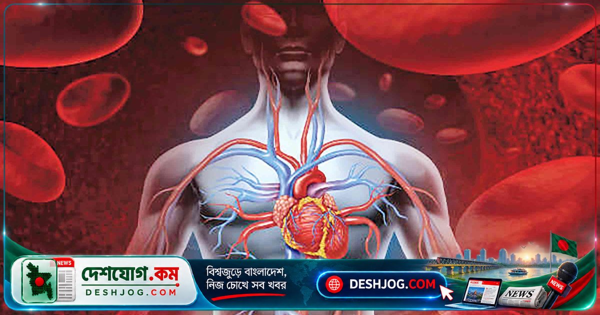রক্তপ্রবাহ বাড়ানোর স্বাস্থ্যকর খাবার ও জীবনযাপনের সহজ উপায়