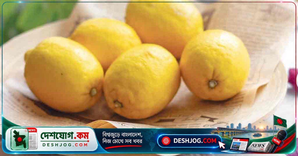 রান্নাঘর থেকে তেলাপোকা দূর করতে ৫টি নিরাপদ প্রাকৃতিক উপায়