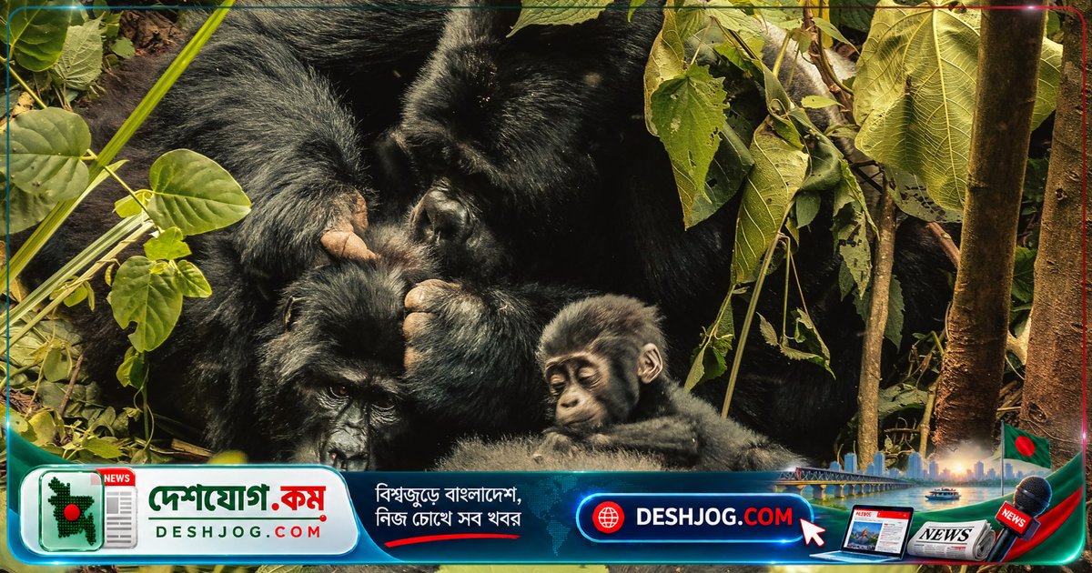 প্রকৃতির পুনরুজ্জীবনের গল্প: বিশ্বের বিপন্ন প্রাণী সংরক্ষণে বিজয়ী উদাহরণসমূহ