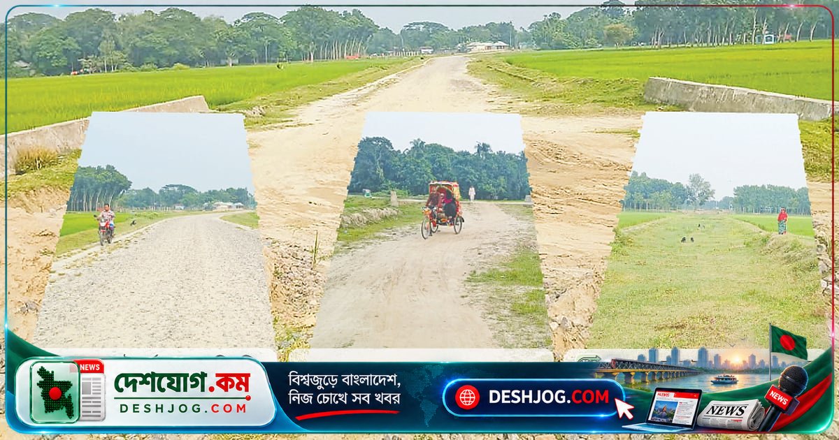 সাত বছরেও শেষ হয়নি নেত্রকোনা বাইপাস সড়ক: ঠিকাদারদের ১২ বার সতর্ক করা হলেও কাজের অগ্রগতি মাত্র ২৮ শতাংশ