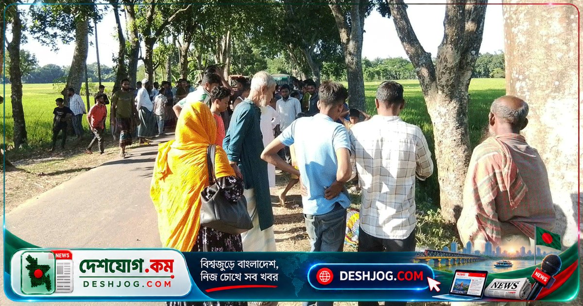 নেত্রকোনা দুর্গাপুরে ইজিবাইক ধাক্কায় পথচারী নারী মারা যান, চালক পালিয়ে যায়