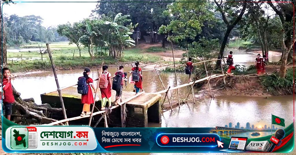 নেত্রকোনার দুর্গাপুরে ছয় বছরেও বন্যার ক্ষত সারেনি, ঝুঁকিপূর্ণ সেতুতে চলাচল করছে হাজারো মানুষ