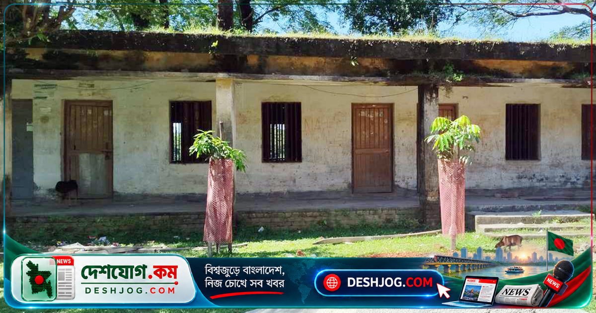 নেত্রকোনার মাদ্রাসায় শিক্ষক সংকটে পড়াশোনা ব্যাহত, ৪১৩ শিক্ষার্থী ভোগান্তি পোহাচ্ছে