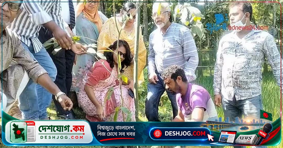 নেত্রকোণায় ৫০০টি গাছের চারা বিতরণ ও রোপণ: বাংলাদেশ চারু ফাউন্ডেশন উদ্যোগে বৃক্ষরোপণ কর্মসূচি