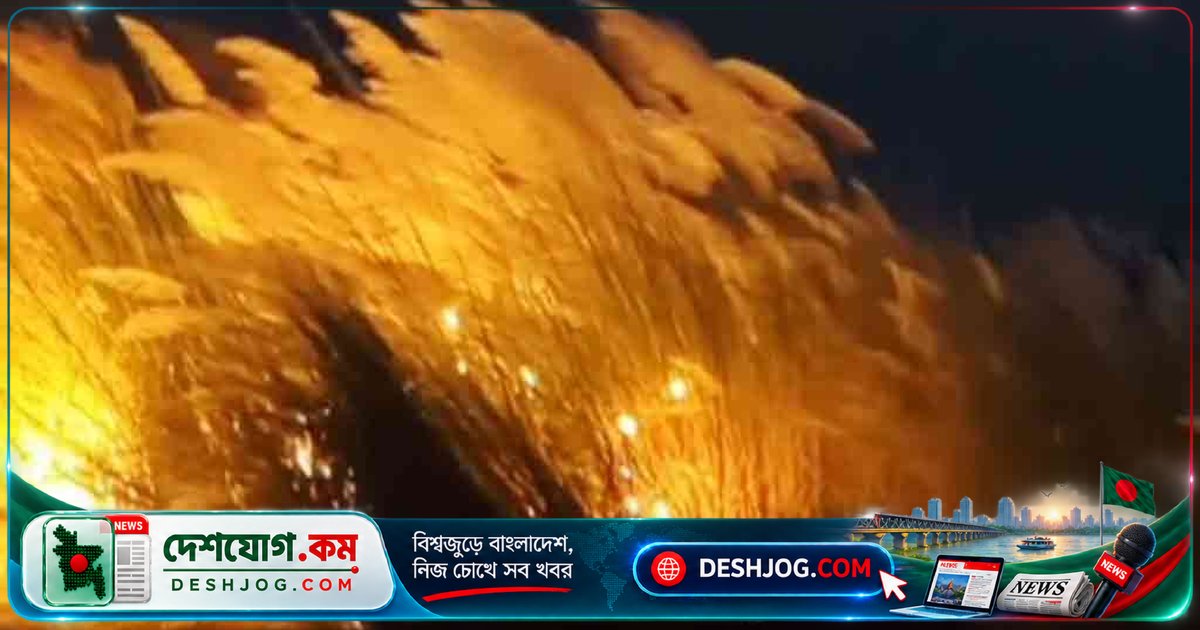 নেত্রকোনা বিশ্ববিদ্যালয়ের কাশবনে দুর্বৃত্তদের আগুন: শিক্ষার্থীরা চাপা উদ্বেগে