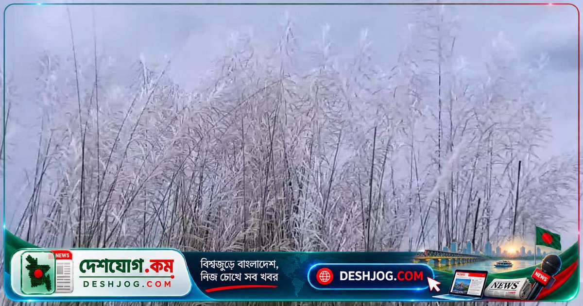 নেত্রকোণা বিশ্ববিদ্যালয়ের নির্মাণাধীন ক্যাম্পাসে শরতের সৌন্দর্য উপভোগের জন্য ভিড়ের সৃষ্টি