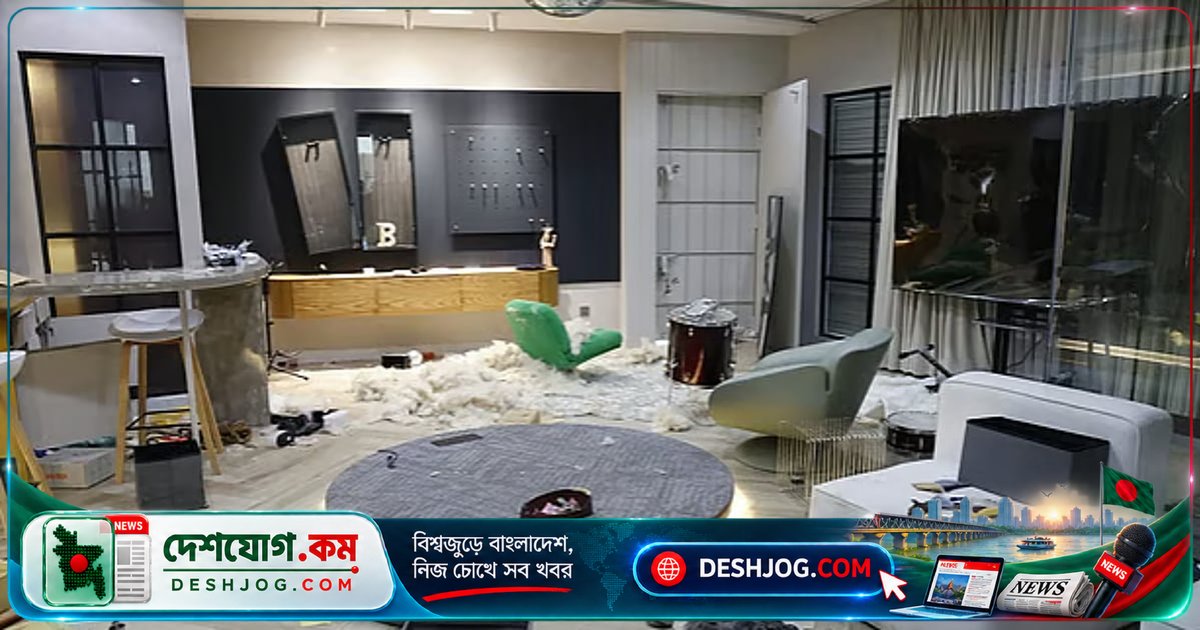 নিউগিনি প্রকল্পে বেআইনি হামলায় জামিন পায় প্রধান আসামি শাহরিয়ার মাহমুদ, ১০ হাজার টাকা মুচলেকায়