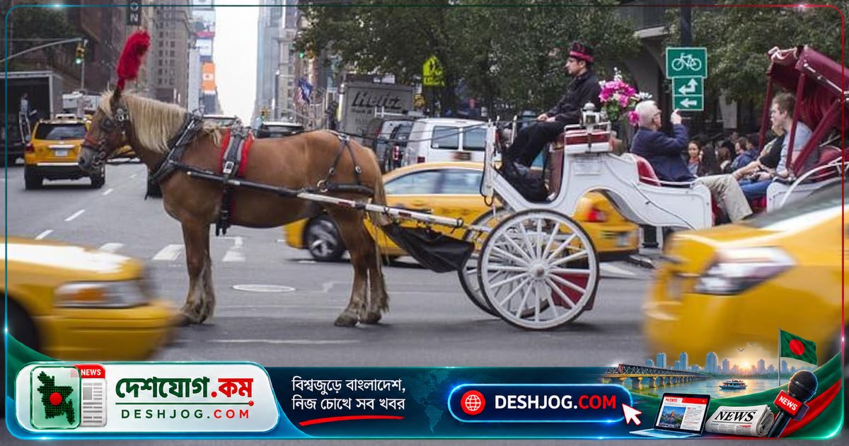 নিউইয়র্কের সেন্ট্রাল পার্কে দেড়শত বছরের ঐতিহ্য বন্ধের মুখে: ঘোড়ার গাড়ি বিলুপ্তির আশঙ্কা