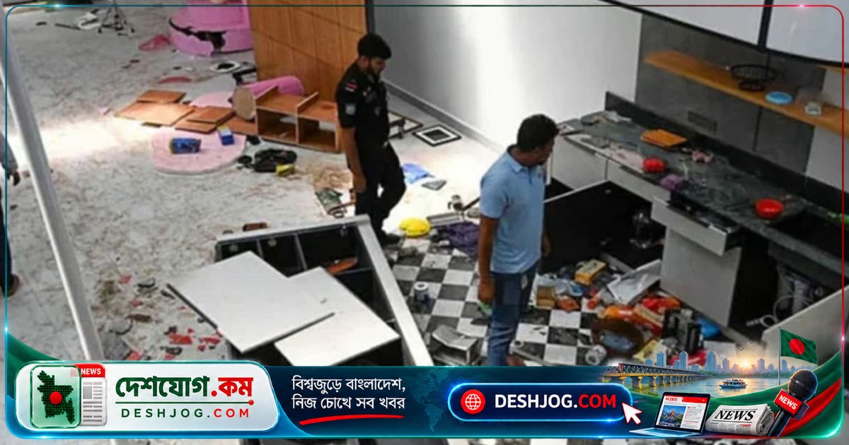 নিউগিনি প্রজেক্টে ভাঙচুর-লুটতরাজে জামিন পায় প্রধান আসামি শাহরিয়ার মাহমুদ