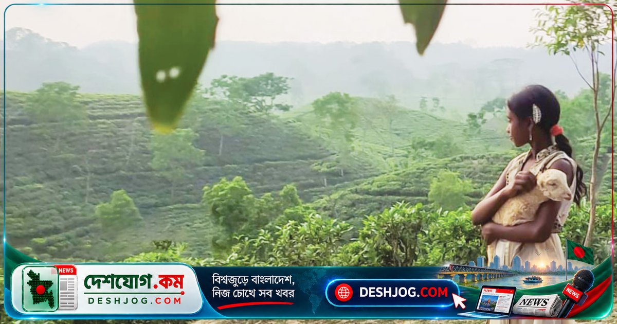 'নিশি' রাশিয়ার মস্কোতে বিশ্ব চলচ্চিত্র শিক্ষার্থী উৎসবে বাংলাদেশের প্রতিনিধিত্ব করবে