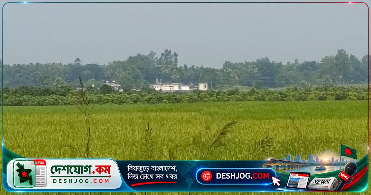 নওগাঁ সীমান্তে ভারতীয় বাহিনী পুশইন চেষ্টায় সাতজনকে ঠেকায় বিজিবি, নারীসহ ছয়জন পুরুষের ঘটনা
