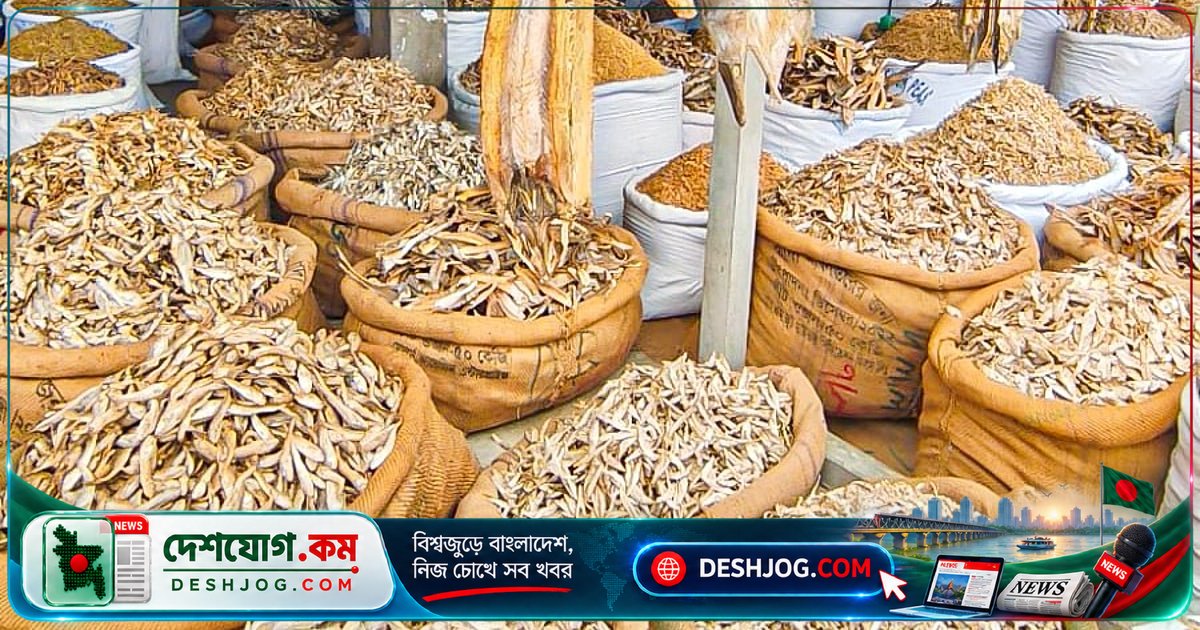 উত্তরের শুঁটকি রাজধানী সৈয়দপুরে বছরে ১০০ কোটি টাকার বাণিজ্য