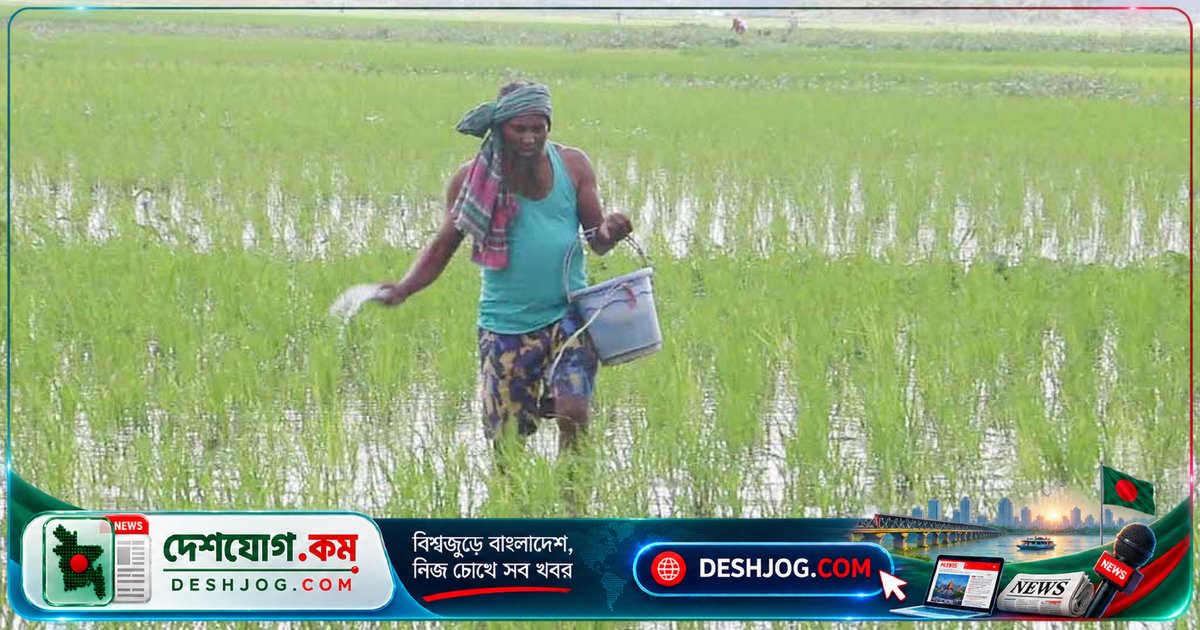 নওগাঁর চাষিরা কৃত্রিম সার সংকটে পড়ছে: নির্ধারিত দামের চেয়ে বেশি দামে সার কেনার বাধ্য