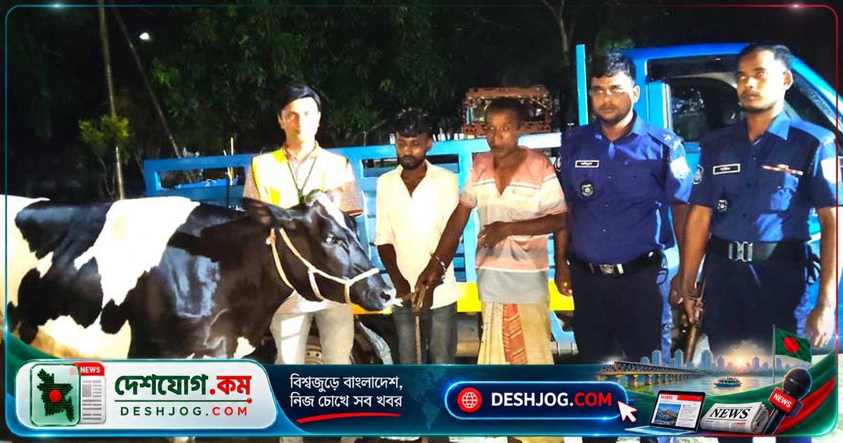 নওগাঁর নিয়ামতপুরে আন্তজেলা গরুচুরির চক্রের সদস্যরা আটক, পিকআপ জব্দ