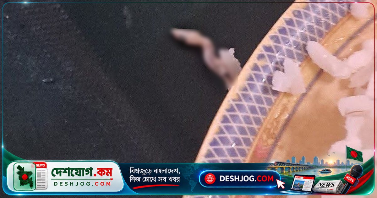 নজরুল বিশ্ববিদ্যালয়ের ডাইনিংয়ে ভাতের প্লেটে সিদ্ধ টিকটিকি পাওয়া: শিক্ষার্থীর অভিযোগ ও প্রশাসনের প্রতিক্রিয়া