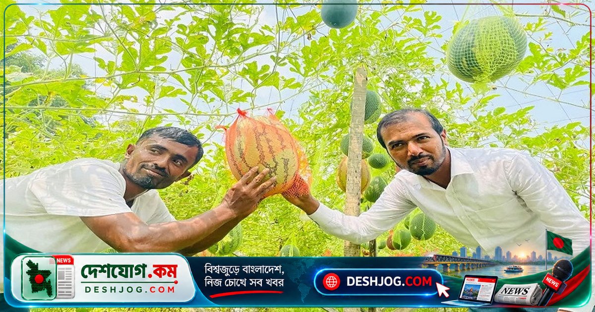 অফ-সিজনে তরমুজ চাষে সাফল্য: ভোলার কৃষক মিজান কীভাবে বাজিমাত করলেন?