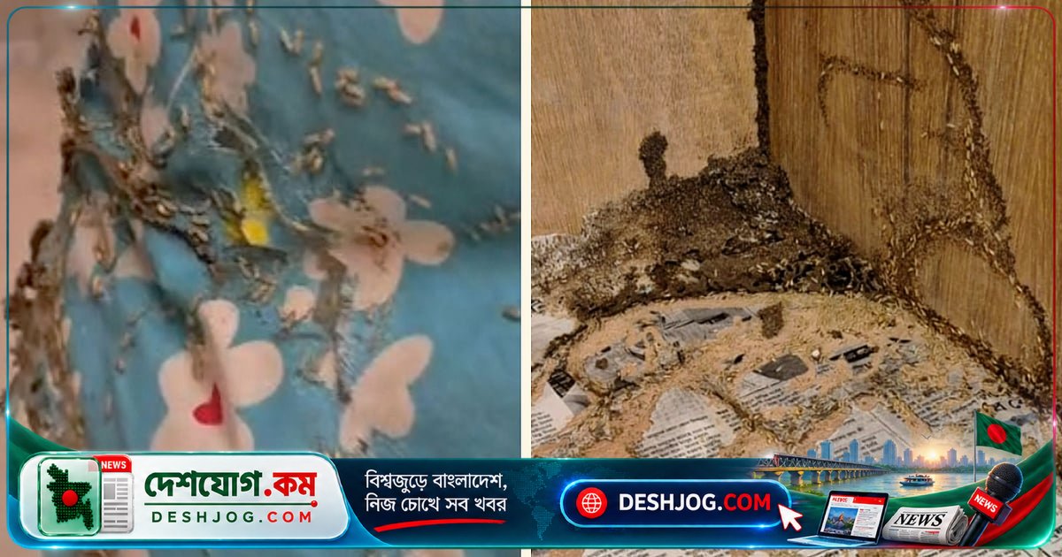 উইপোকা-বাসা কক্ষে অসুবিধা! বিরোধীদলীয় উপনেতা সার্কিট হাউস ত্যাগ করেন মধ্যরাতে