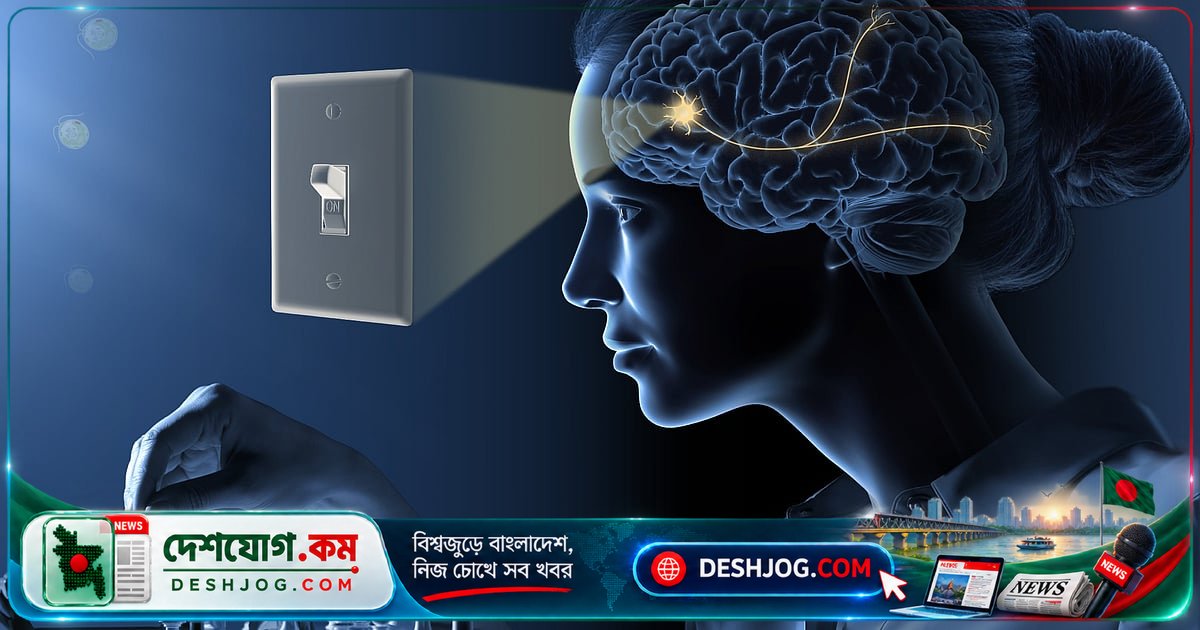 অপটোজেনেটিকস: আলোর মাধ্যমে মস্তিষ্কের নিউরন নিয়ন্ত্রণে বিজ্ঞানের নতুন বিপ্লব