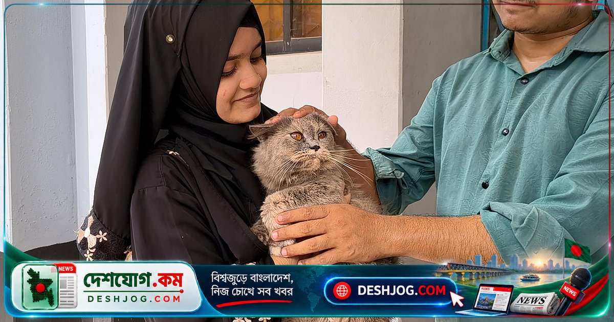 পাবনা থেকে হারানো অন্তঃসত্ত্বা বিড়াল লিলি পুলিশের সাহায্যে ফিরে পায় মালিকের হাতে