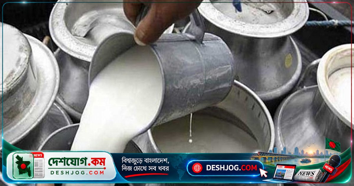 পাবনা-সিরাজগঞ্জে নকল দুধের অজস্র কারবার: রাসায়নিক মিশিয়ে সাদা তরল বিক্রি হচ্ছে দুধের নামে