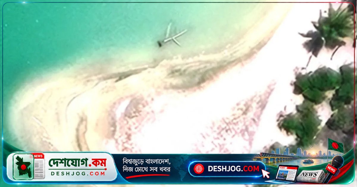 প্রশান্ত মহাসাগরে আবিষ্কৃত রহস্যময় বস্তু: অ্যামেলিয়া ইয়ারহার্টের বিমান ধ্বংসাবশেষ নন, বরং বড় গাছের অবশিষ্টাংশ